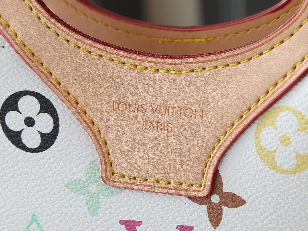 LV handbag