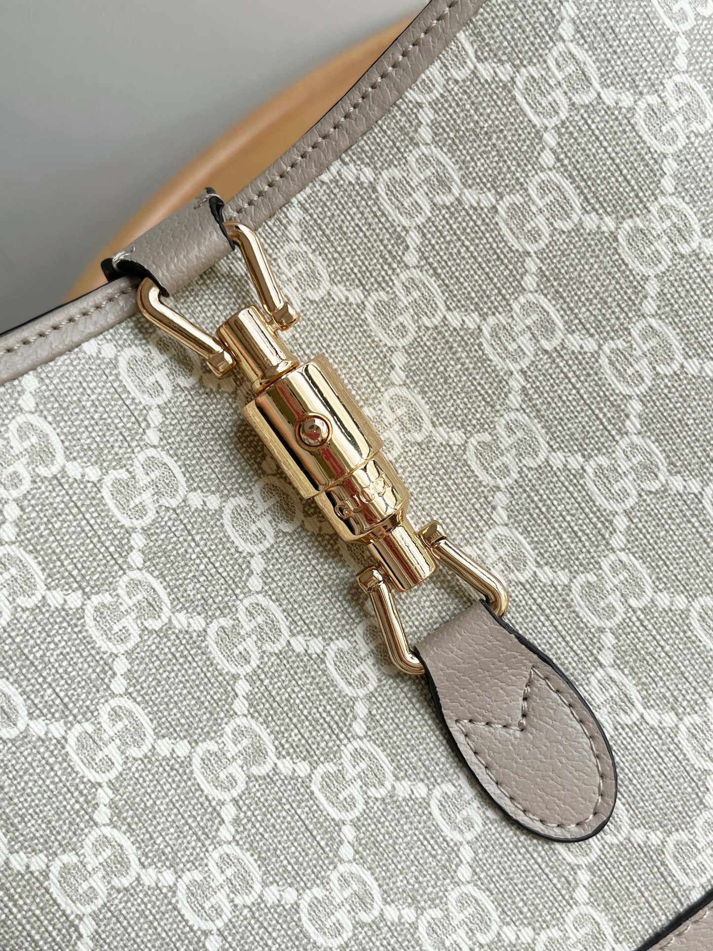 "Gucci bag