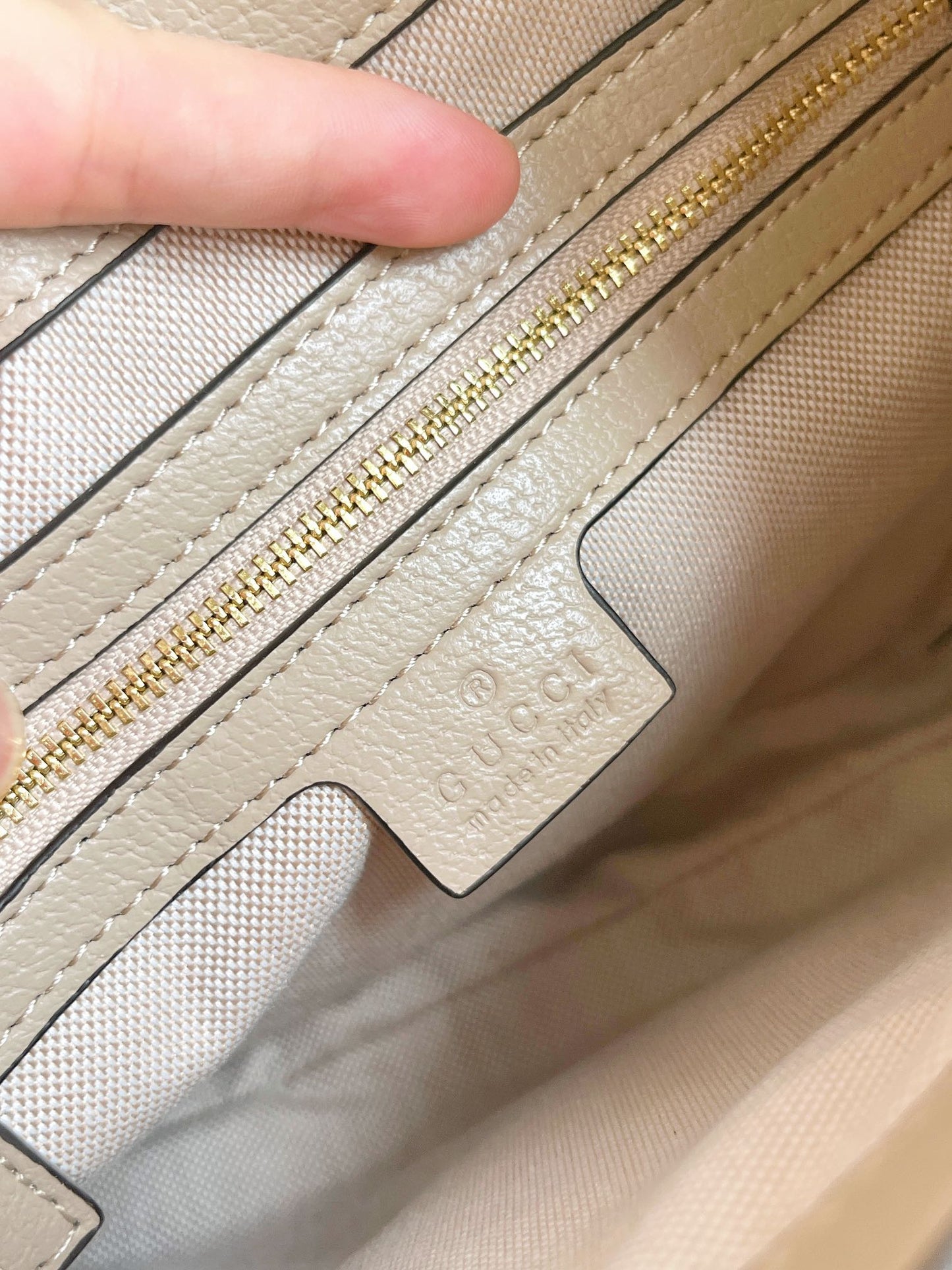"Gucci bag
