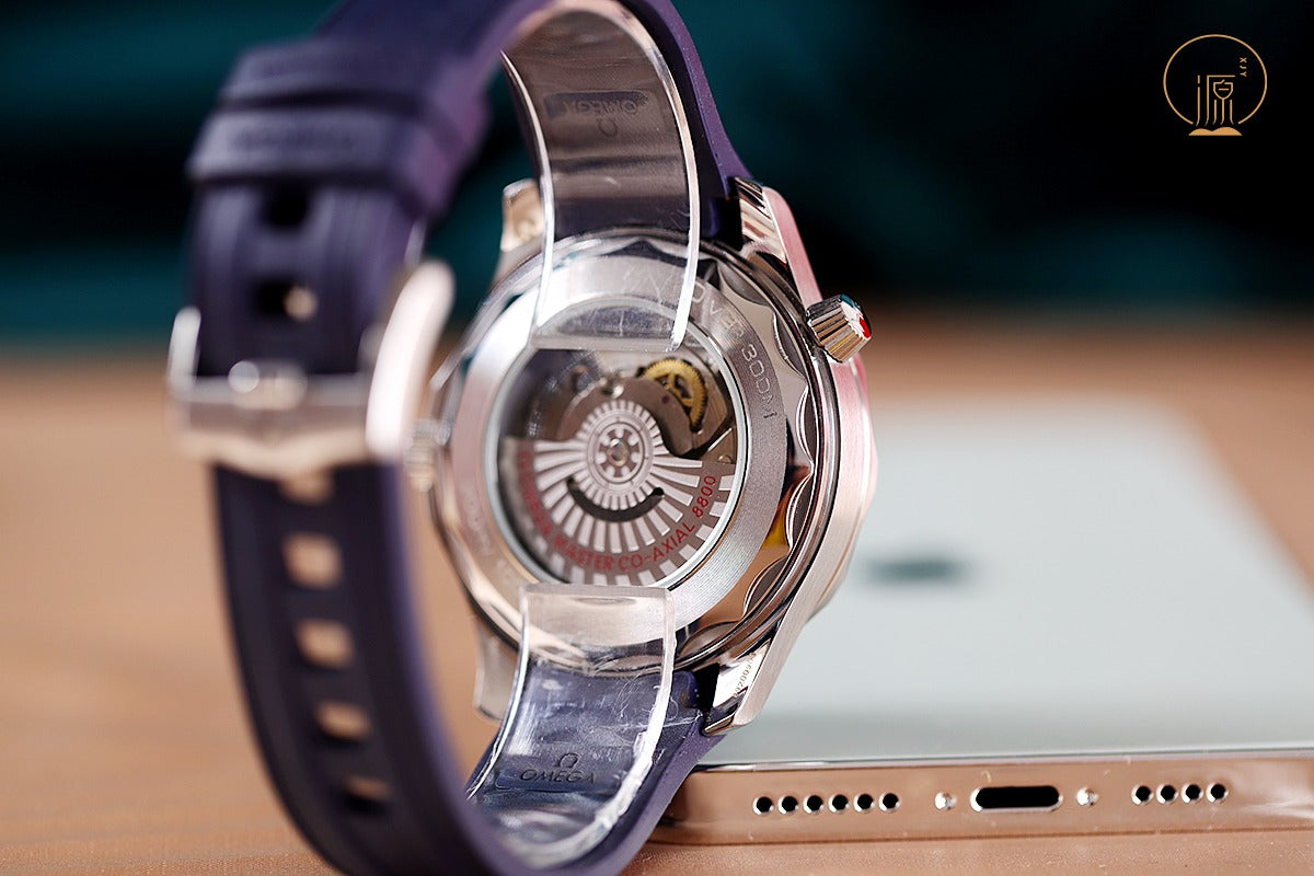 OMEGA Seamaster Series – 42mm Ceramic Bezel Edition