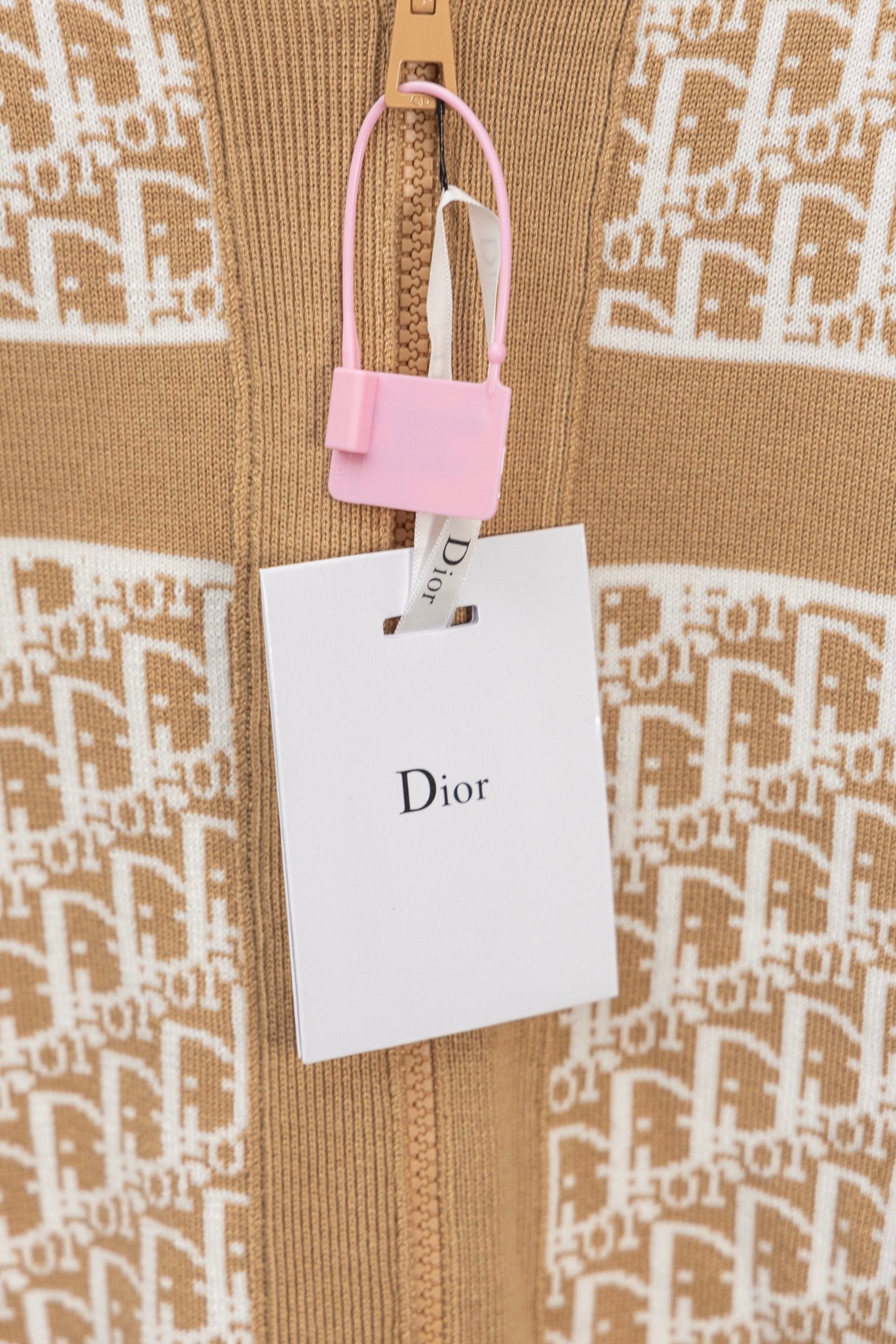 DIOR 25FW Classic Oblique Reversible Cashmere Hoodie Cardigan