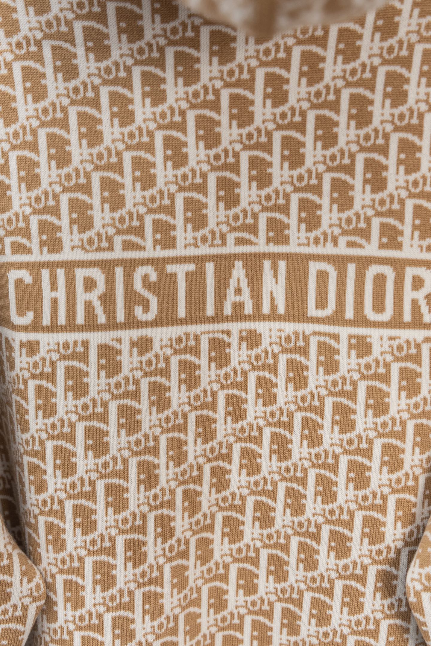 DIOR 25FW Classic Oblique Reversible Cashmere Hoodie Cardigan