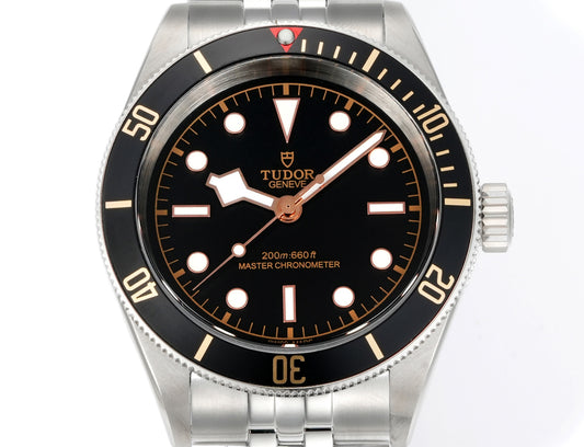 Tudor Black Bay Black